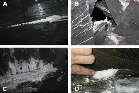 Different Types Of Cave Formations Developed Inside Ojo De