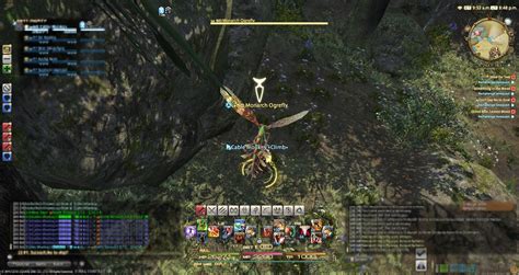 Mages must be whm or /whm. X: 24.4 Y: 18.1 ffxiv_11302016_204847.jpg
