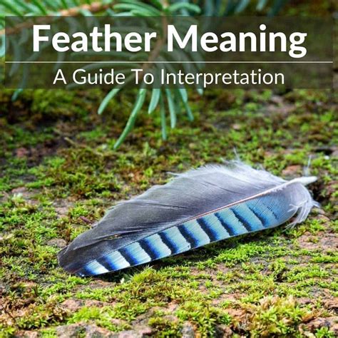 Feather Meaning And Symbolism A Guide To Interpretation