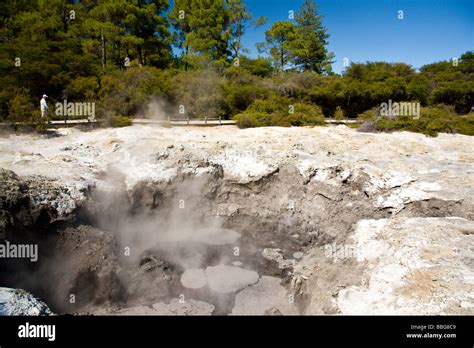 Mud Pools At Waiotapu Rotorua North Island New Zealand Stock Photo Alamy