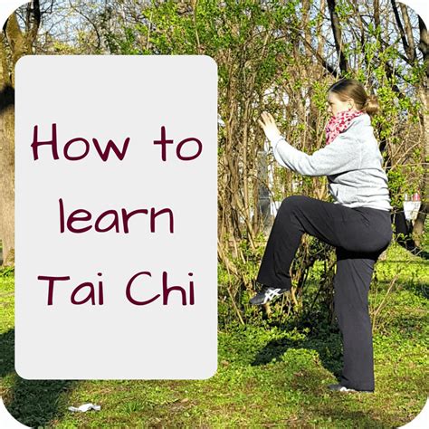 Tai chi by form vcd series. My thoughts on how to learn Tai Chi Chuan / Taijiquan?
