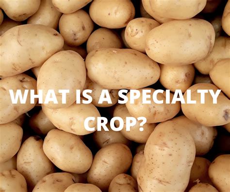 What Is A Specialty Crop Agency Of Agriculture Food And Markets