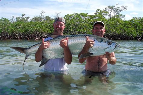Sport Fishing In Belize The Sport Fishermans Paradise Belize Travel