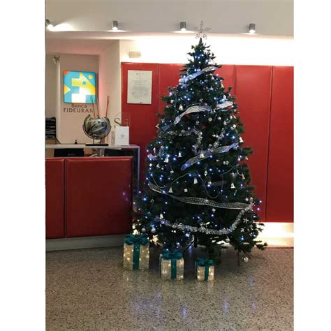 E tu hai già fatto l'albero? Noleggio Albero di Natale 3 Metri