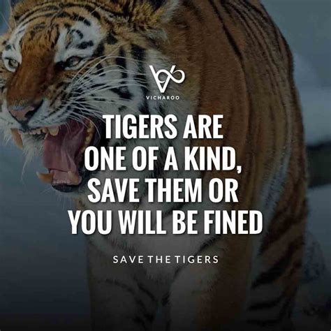 Tigers Are One Of A Kind Save Them Or You Will Be Fined Save Tigers