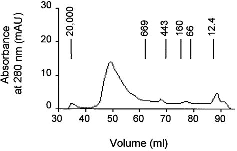 Size Exclusion Chromatography Of HP2 The Elution Profile Of Soluble