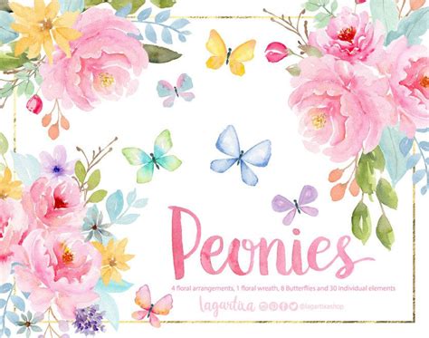 Peonies Watercolor Floral Clipart Png Wedding Bouquet Pink Sweet