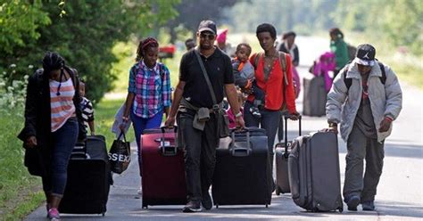 canada rejects 70 7 of nigerian asylum seekers who crossed borders pulse nigeria