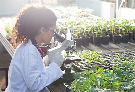 We did not find results for: 11 Great Career Opportunities from Studying Horticulture ...