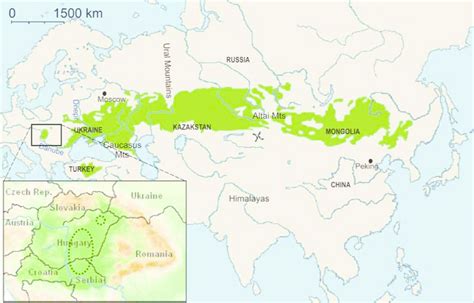2 The Distribution Of The Forest Steppe And Steppe Zones In Eurasia