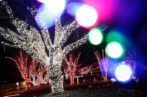 Christmas Lights In Athens Ga Where To Find Displays In 2021