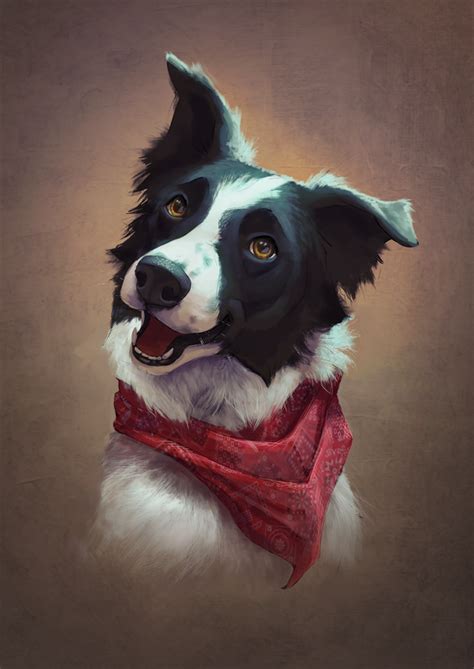 Border Collie Artwork By Nordeva Canine Art Dog Drawing Pet Portraits