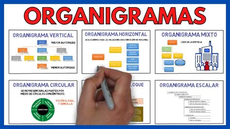 Tipos De Organigramas Organigrama Organigrama De Una Empresa The Best