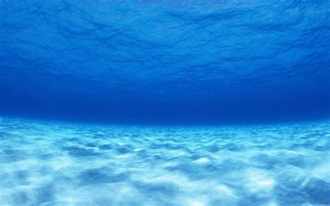 Sunlight Sea Water Nature Sky Photography Blue Underwater