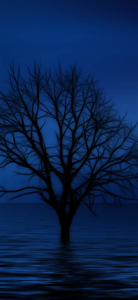 Artistictree 1080x2340 Wallpaper Id 880871 Mobile Abyss