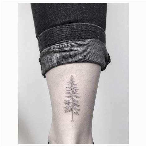 Pine Tree Tattoo Small Cathern Leach