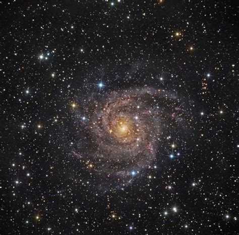 Webb Deep Sky Society Galaxy Of The Month Ic342
