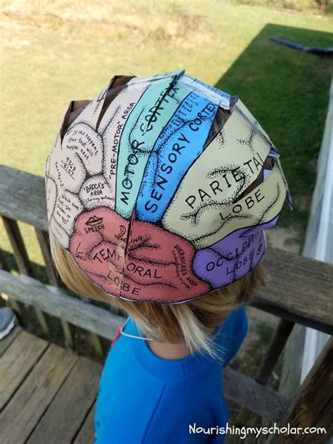 Fun Brain Activities For Kids Nourishing My Scholar