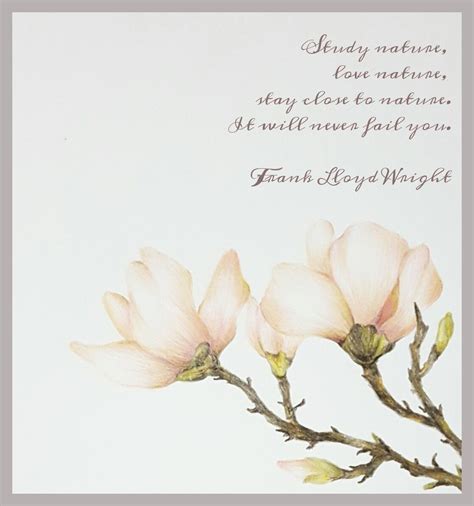 Magnolia Quotes Shortquotescc