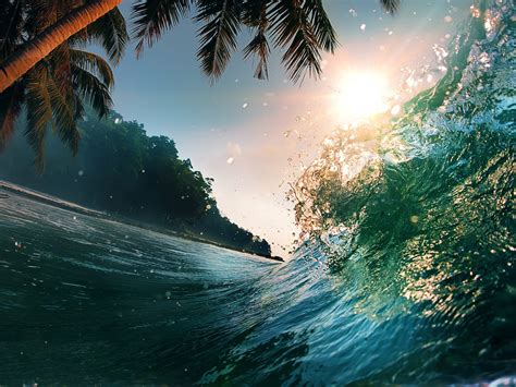 Waves Sea Ocean Beach Palm Trees Summer Wallpaper Background 70843