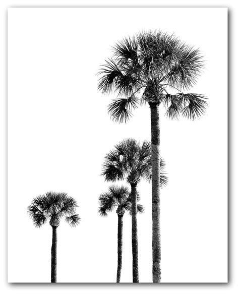 Palm Tree Print Black And White Palm Tree Botanical Print Black And White