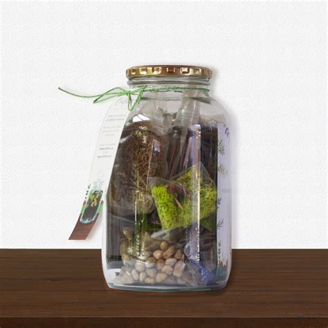 Give your child's room a fun, whimsical touch with this quaint little up house hanging glass terrarium kit. CraftLife DIY Terrarium Kit - Large | CraftLife