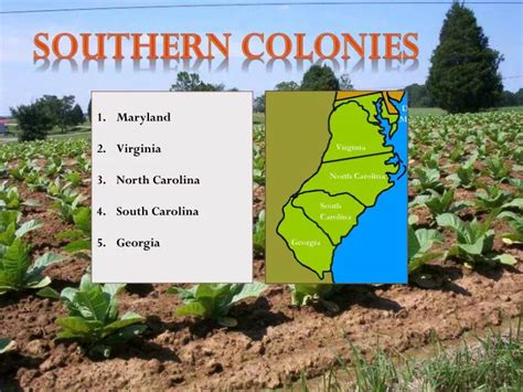 Ppt Southern Colonies Powerpoint Presentation Free Download Id2487404