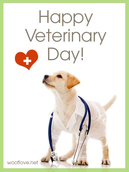 Petshop si farmacie veterinara online cu o gama variata de hrana, suplimente si accesorii pentru caini, pisici, pesti si alte animale de companie. World Veterinary Day | Dog Lovers Blog | Art. Dogs. Design ...