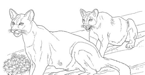 Free Coloring Pages Mountain, Download Free Coloring Pages Mountain png