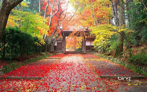 Japanese Nature Wallpapers 47 Images