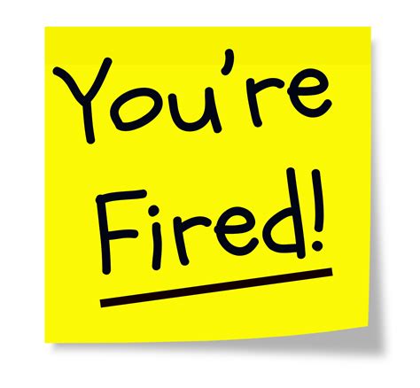 You're Fired - Official Site Dan Miller