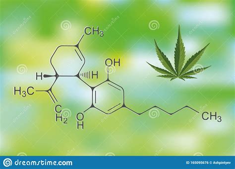 cannabidiol cbd cannabis molecule has antipsychotic effects skeletal formula stock image