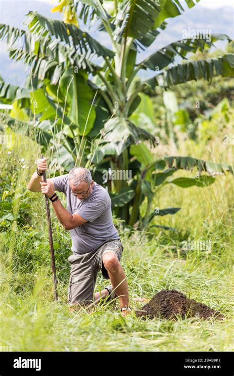 Garden Dig Deep Hi Res Stock Photography And Images Alamy