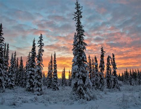 Sunrise Over Fairbanks Alaska Природа