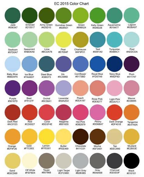 The Best Hexa Color Palette 2023