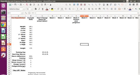 When I Open An Xlsx File With Libreoffice Calc It Has No