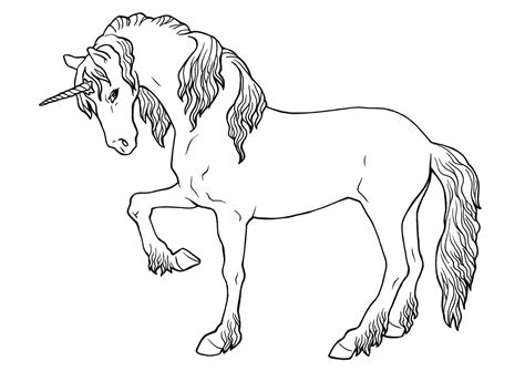 Ausmalbilder Einhorn | Einhorn zum ausmalen, Ausmalbilder einhorn