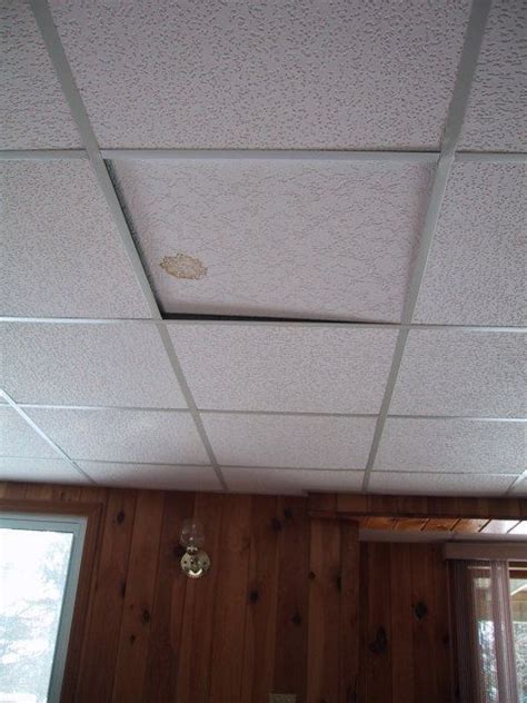 Get free shipping on qualified drop ceiling tiles or buy online pick up in store today in the building materials department. Pin by Cool Unfinished Basement Remod on Basement Ceiling ...