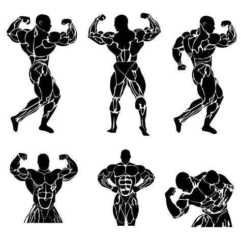 Bodybuilding Vector Graphics ~ Creative Market