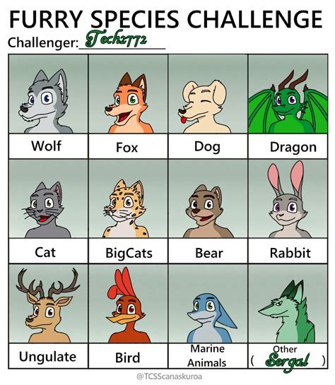 Furry Species Challenge By Tech2772 On Deviantart