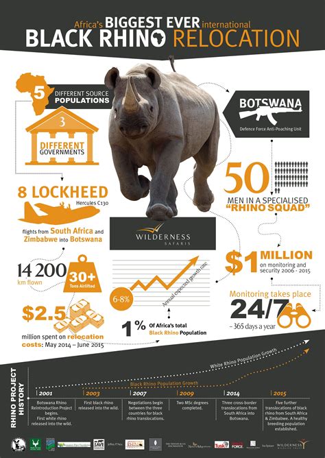 Rhino Translocation Infographic Animal Infographic Wildlife