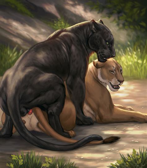 Rule 34 2022 Bagheera Balls Black Body Black Fur Disney Duo Felid Female Feral Fur Genitals