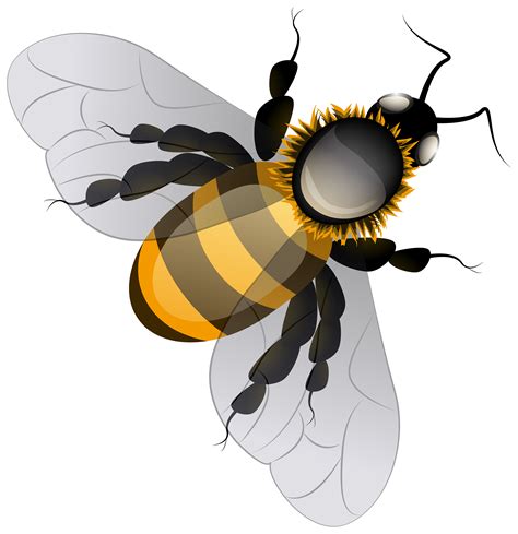 Bee Png Clip Art Best Web Clipart