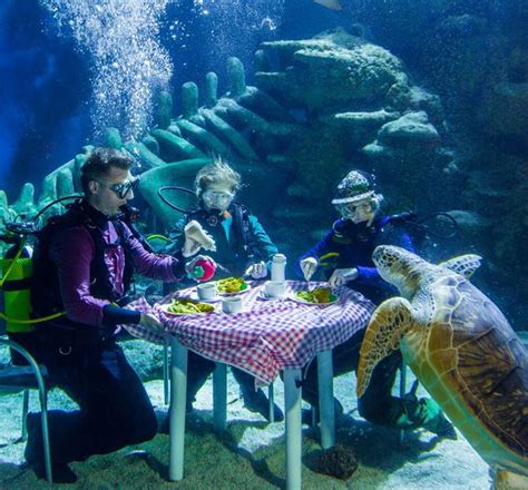 39 Visitors Are Sure To Be Smiling At Sea Life London Aquarium