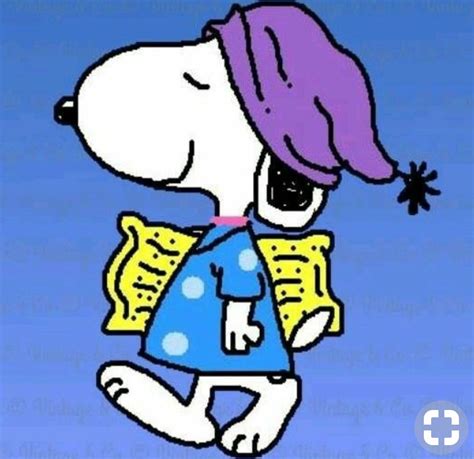 Pin By Ana Rebeca Sanchez On Snoopy And Friends Goodnight Snoopy