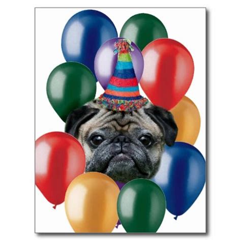 Happy Birthday Pug Dog Postcard Happy Birthday Pug Dog Birthday Card