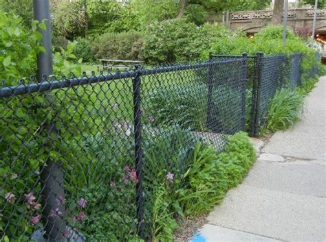 Privacy landscaping low maintenance landscaping front yard landscaping landscaping ideas landscaping with grasses landscape grasses ornamental grass landscape privacy plants fence plants. Black Chain Link Fence Pictures and Ideas | Black chain ...