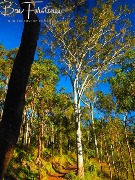 Welcome To The Atherton Tablelands Tropical Queensland Australia