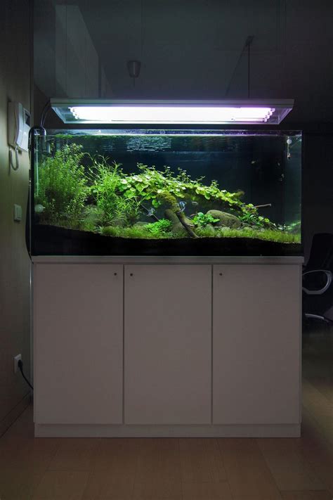 An aquascaper will fill the bottom of an aquarium with rocks and plant life. 67 besten Aquarium Einrichtung Bilder auf Pinterest ...