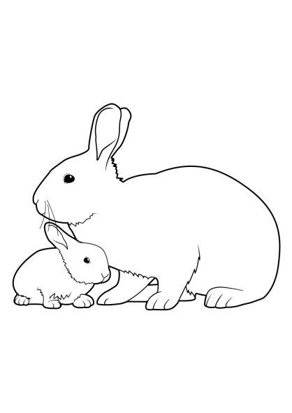 Coloriage Lapin Facile Coloring Pages